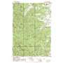 Flat Mountain USGS topographic map 44123d4