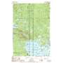 Trout Mountain USGS topographic map 45068g7