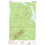 Big Spencer Mountain USGS topographic map 45069g4