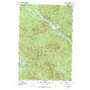 Chain Of Ponds USGS topographic map 45070c6