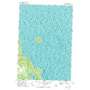 Middle Island USGS topographic map 45083b3