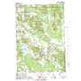 Boyne Falls USGS topographic map 45084b8
