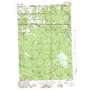 Afton USGS topographic map 45084c4