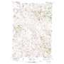 Forks Ranch USGS topographic map 45106a4