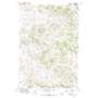 John Hen Creek USGS topographic map 45106h3