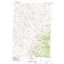 Thompson Creek Nw USGS topographic map 45107d2