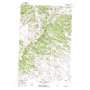 Lemon Ranch USGS topographic map 45107h6