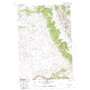 Two Point USGS topographic map 45108a1