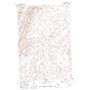 Bear Coulee USGS topographic map 45108d2