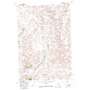 Chilkoot Coulee USGS topographic map 45108d3