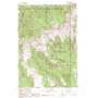 Mount Wallace USGS topographic map 45110b4