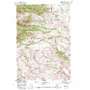 Raspberry Butte USGS topographic map 45110h2