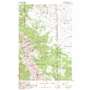 Sacagawea Peak USGS topographic map 45110h8