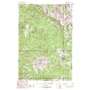 Lone Mountain USGS topographic map 45111c4