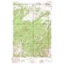 Willow Swamp USGS topographic map 45111d4