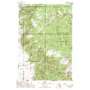 Cherry Lake USGS topographic map 45111d5