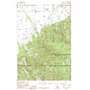 Wheeler Mountain USGS topographic map 45111e1