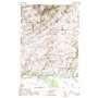 Nixon Gulch USGS topographic map 45111h3