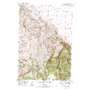 Gallagher Mountain USGS topographic map 45112a6