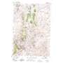 Bannack USGS topographic map 45112b8