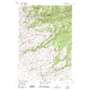 Copper Mountain USGS topographic map 45112d1