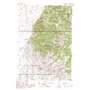 Old Baldy Mountain USGS topographic map 45112e2