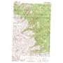Goldstone Mountain USGS topographic map 45113a5