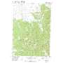 Peterson Lake USGS topographic map 45113b3