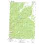 Miner Lake USGS topographic map 45113c5