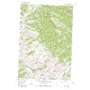 North Fork USGS topographic map 45113d8