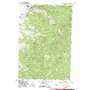 Foolhen Mountain USGS topographic map 45113g2