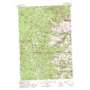 Lake Mountain USGS topographic map 45114a1