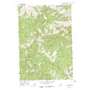 Mormon Mountain USGS topographic map 45114a8