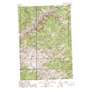Pine Creek Rapids USGS topographic map 45114c3
