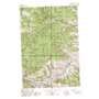 Ulysses Mountain USGS topographic map 45114d1