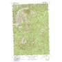 Burnt Strip Mountain USGS topographic map 45114g6