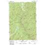Loon Lake USGS topographic map 45115b7