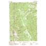 Burgdorf USGS topographic map 45115c8