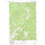 Buffalo Hump USGS topographic map 45115e6