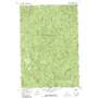 Lick Point USGS topographic map 45115h4