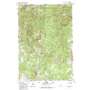 Patrick Butte USGS topographic map 45116c2