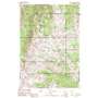 Aneroid Mountain USGS topographic map 45117b2