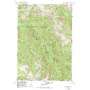 Jim White Ridge USGS topographic map 45117c5