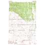 Hicks Spring USGS topographic map 45117e3