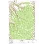 Shamrock Creek USGS topographic map 45117g3