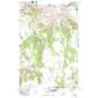 Flora USGS topographic map 45117h3