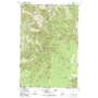 Wenaha Forks USGS topographic map 45117h7