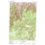 Tamarack Gulch USGS topographic map 45118c6