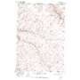 Ring USGS topographic map 45118h7