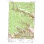 Deerhorn Creek USGS topographic map 45119a1